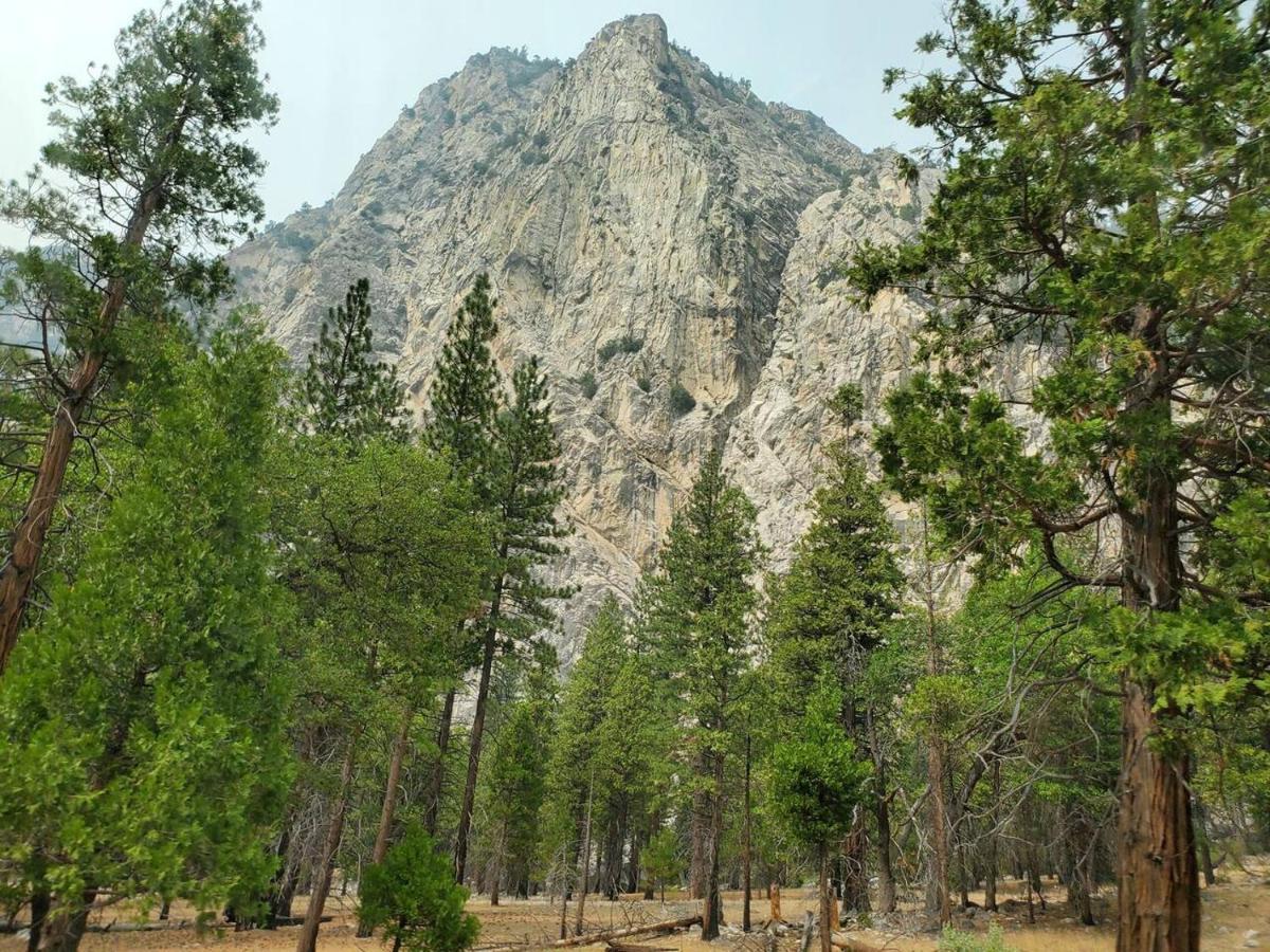 Sequoia Glen Villa Wilsonia Kültér fotó