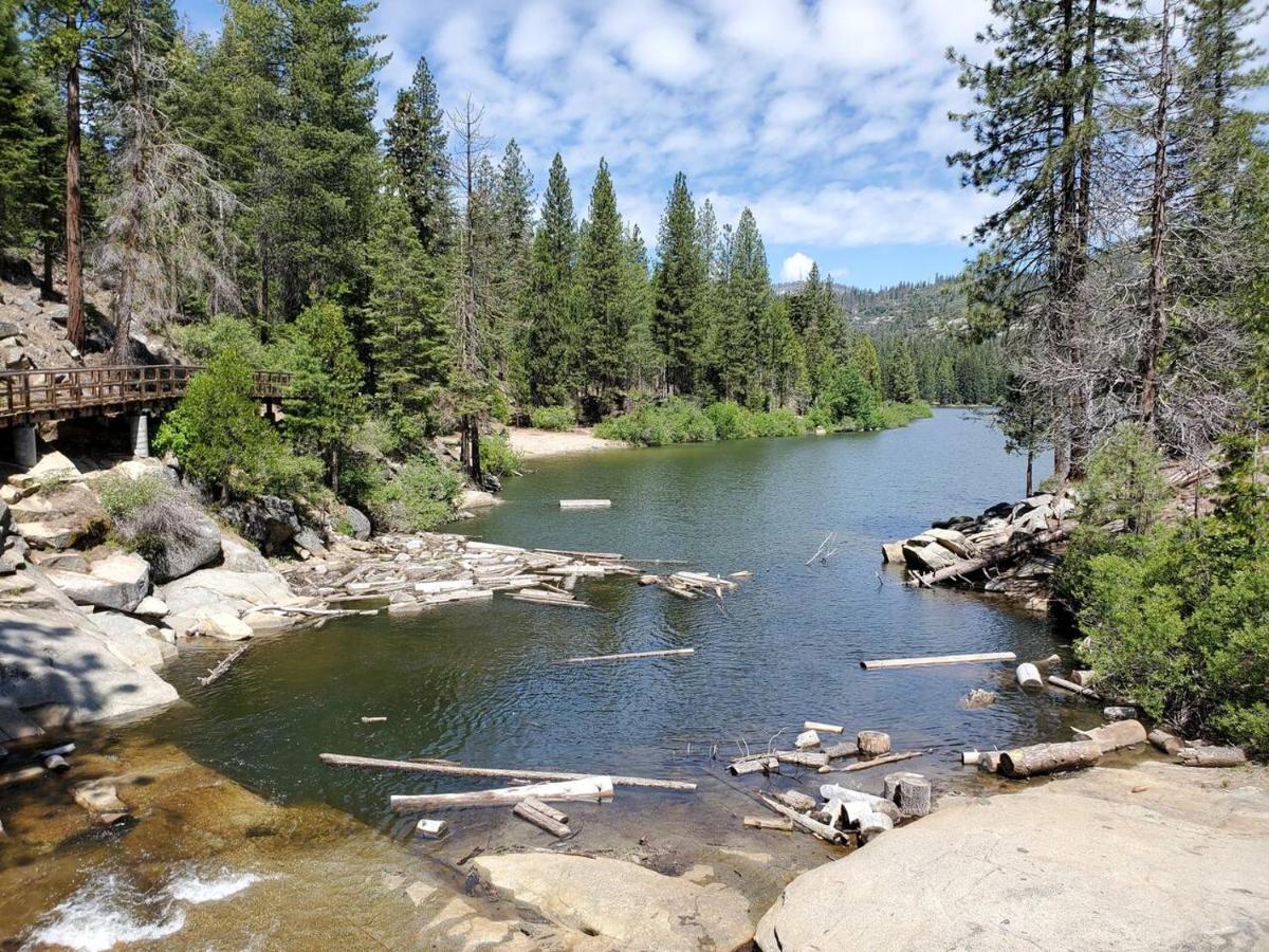Sequoia Glen Villa Wilsonia Kültér fotó